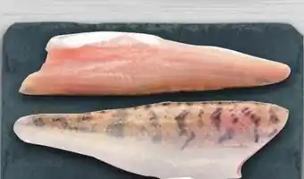 Handelshof Zanderfilet tiefkühlt Angebot