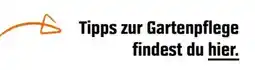 OBI Action 20 Angebot