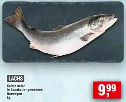 Handelshof Lachs Angebot