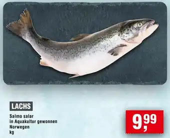 Handelshof Lachs Angebot