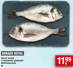 Handelshof Dorade royal Angebot