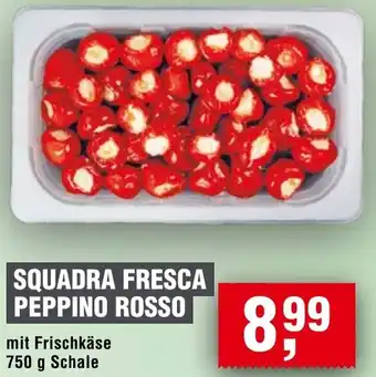 Handelshof Squadra fresca peppino rosso Angebot