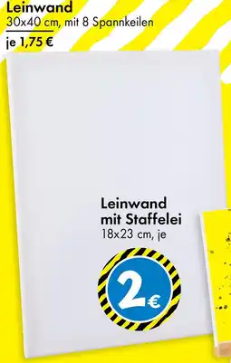TEDi Leinwand Angebot