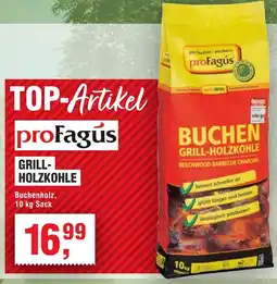 Handelshof ProFagus Grill Holzkohle Angebot