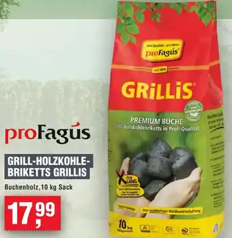 Handelshof ProFagus grill-holzkohle briketts grillis Angebot