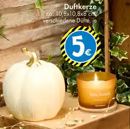 TEDi Duftkerze Angebot