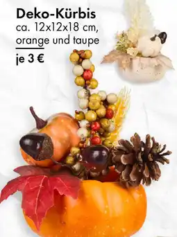 TEDi Deko-Kürbis Angebot