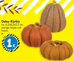 TEDi Deko-Kürbis Angebot