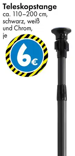 TEDi Teleskopstange Angebot