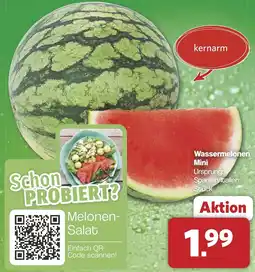 Famila Nord West Wassermelonen Mini Angebot