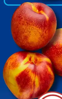 Aldi Süd Nektarinen Angebot