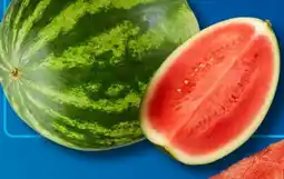 Aldi Süd Wassermelone Angebot