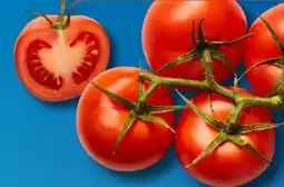 Aldi Süd Rispentomaten Angebot