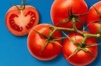 Aldi Süd Rispentomaten Angebot