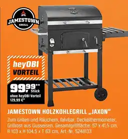 OBI Jamestown grill holzkohlegrill jaxon Angebot