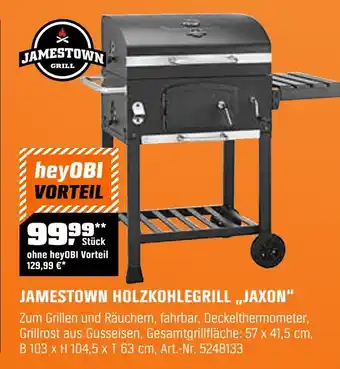 OBI Jamestown grill holzkohlegrill jaxon Angebot