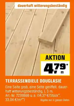 OBI Terrassendiele douglasie Angebot