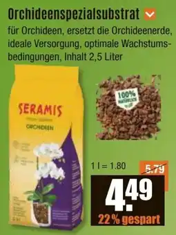 V Baumarkt SERAMIS Orchideenspezialsubstrat Angebot