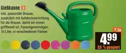 V Baumarkt Gieẞkanne Angebot