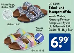 Aldi Süd LILY & DAN Schul- und Hauspantoffeln Angebot