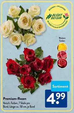 Aldi Süd Premium-Rosen Angebot