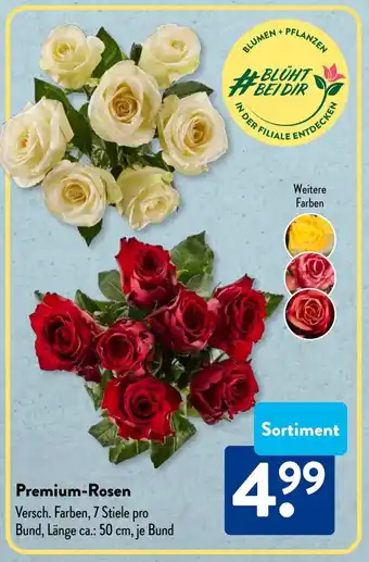Aldi Süd Premium-Rosen Angebot