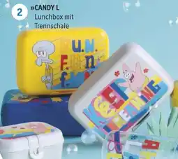 Famila Nord West CANDY L Lunchbox mit Trennschale Angebot
