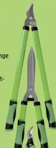 Thomas Philipps Grüner Jan Scheren-Set Angebot