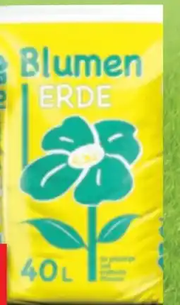 Thomas Philipps Blumenerde Angebot
