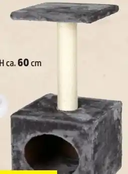 Thomas Philipps Katzen-Kratzbaum Angebot