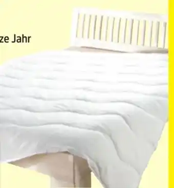 Thomas Philipps Mikrofaser-Steppbett Angebot