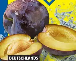 Lidl Zwetschgen Angebot