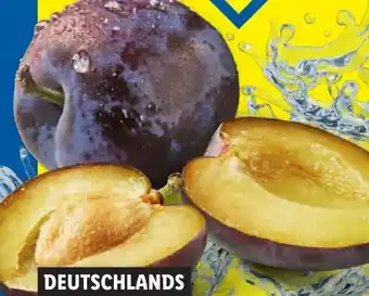 Lidl Zwetschgen Angebot