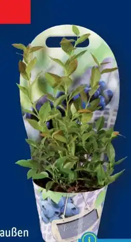 Lidl Heidelbeeren Angebot