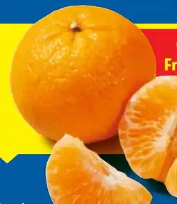 Lidl Mandarinen Angebot