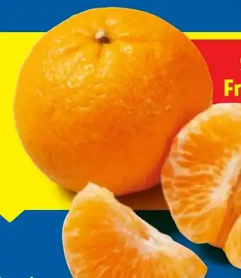 Lidl Mandarinen Angebot