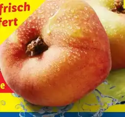 Lidl Plattpfirsiche Angebot