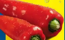 Lidl Rote Spitzpaprika Angebot