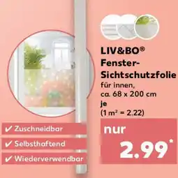 Kaufland LIV&BO Fenster Sichtschutzfolie Angebot