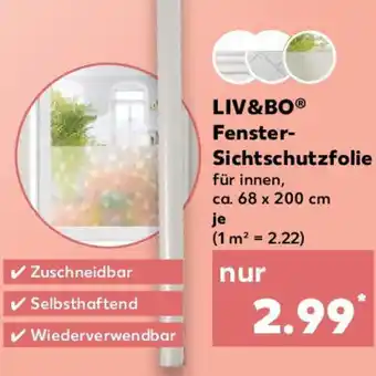 Kaufland LIV&BO Fenster Sichtschutzfolie Angebot