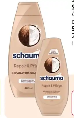 Rossmann Schwarzkopf Schauma Shampoo Angebot