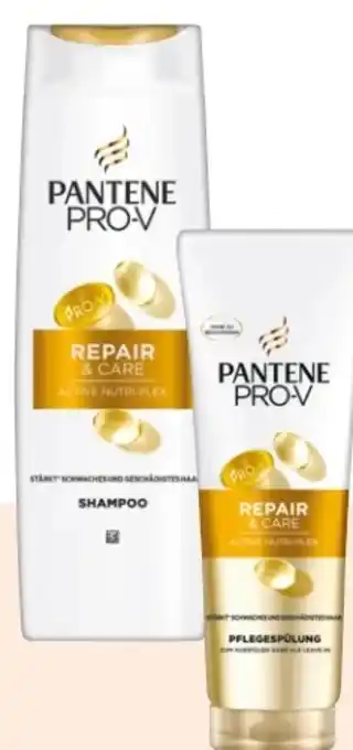 Rossmann Pantene Pro-V Shampoo Angebot