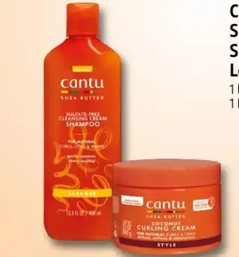 Rossmann Cantu Shampoo Angebot