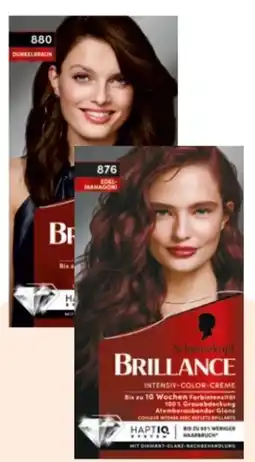 Rossmann Schwarzkopf Brillance Coloration Angebot