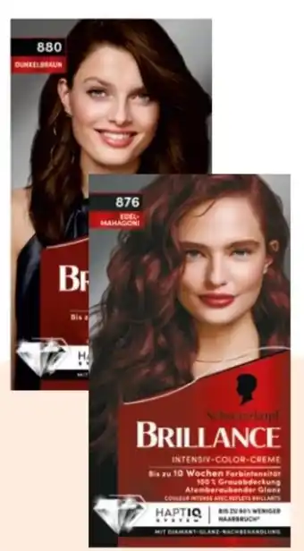 Rossmann Schwarzkopf Brillance Coloration Angebot