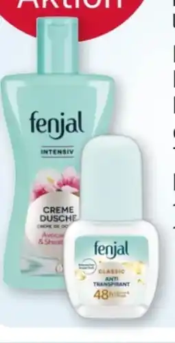 Rossmann Fenjal Creme-Dusche Angebot