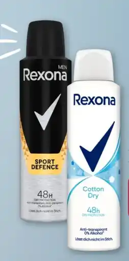 Rossmann Rexona Deo Spray Cotton Dry Angebot
