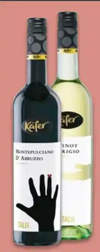 NETTO Käfer Weine Angebot