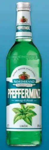 NETTO Nordbrand Nordhausen Pfefferminzlikör Angebot