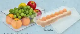 Aldi Süd Crofton Kühlschrankbehälter Angebot